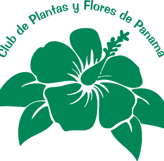 Club de Jardinería<br>Plantas y Flores