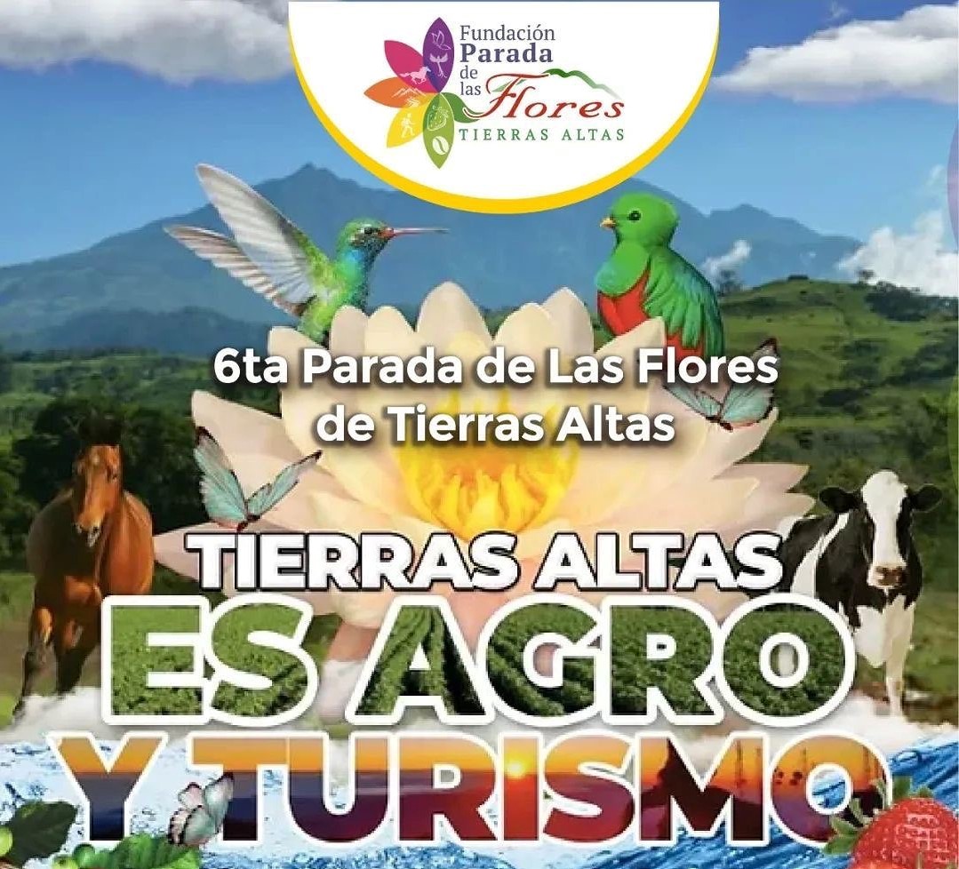 VI Parada de las Flores de Tierras Altas