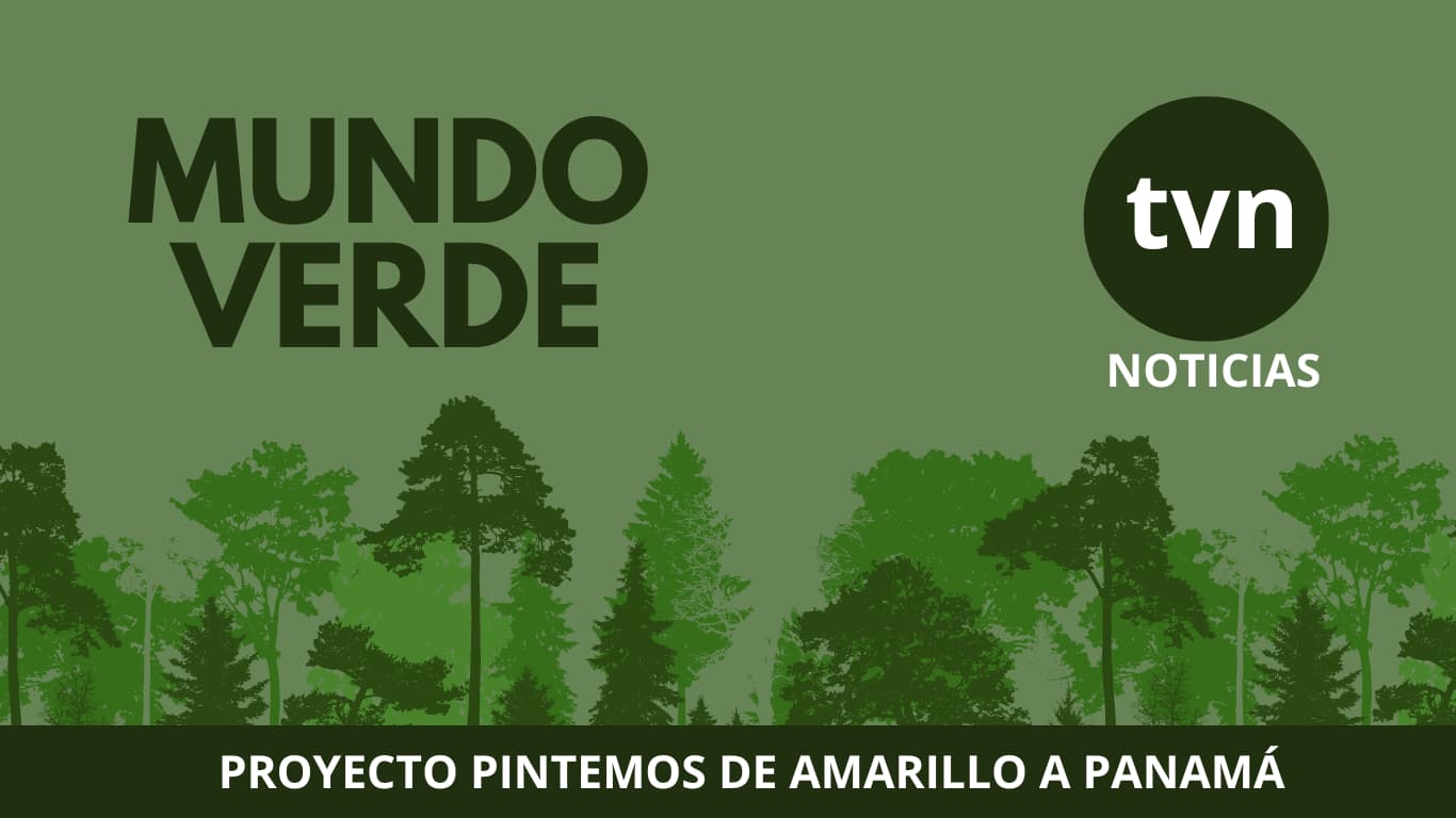 Mundo Verde – TVN Noticias