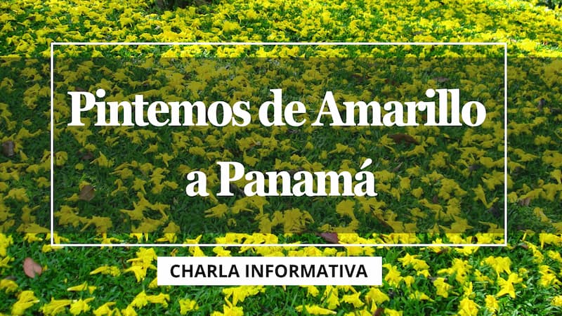 Charla Informativa – Pintemos de Amarillo a Panamá