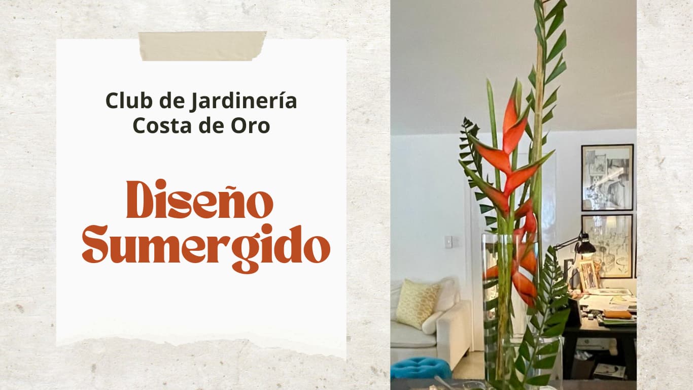 Diseño Sumergido – Club de Jardinería Costa de Oro