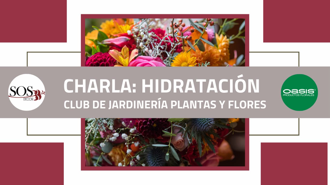 Hidratación – Club de Jardinería Plantas y Flores