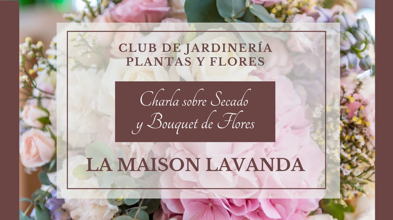 Secado y Bouquet de Flores – Club de Jardinería Plantas y Flores