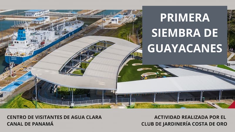 Primera Siembra de Guayacanes – Centro de Visitas de Agua Clara