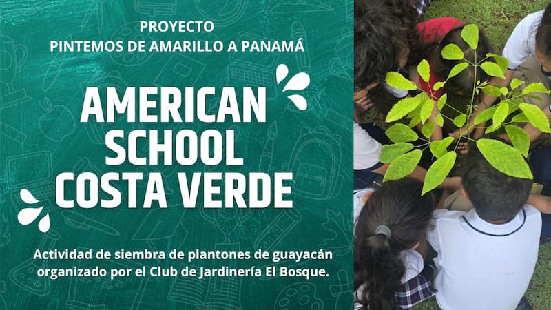 Siembra de Plantones de Guayacán – American School Costa Verde